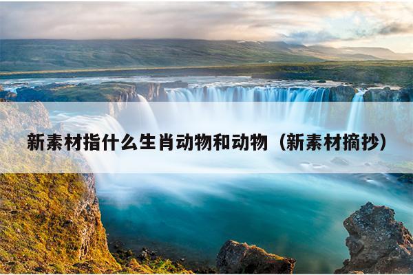 新素材指什么生肖动物和动物（新素材摘抄）