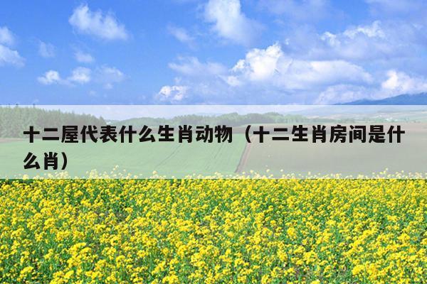 十二屋代表什么生肖动物（十二生肖房间是什么肖）