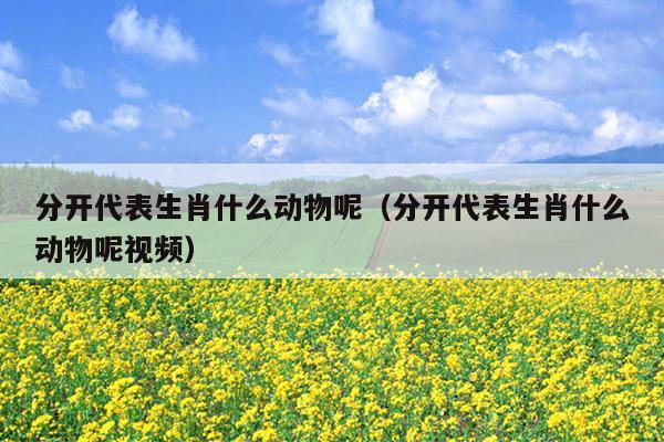 分开代表生肖什么动物呢（分开代表生肖什么动物呢视频）
