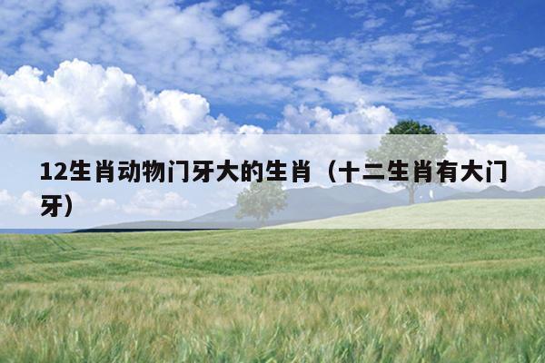 12生肖动物门牙大的生肖（十二生肖有大门牙）