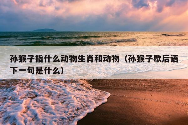 孙猴子指什么动物生肖和动物（孙猴子歇后语下一句是什么）