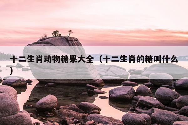 十二生肖动物糖果大全（十二生肖的糖叫什么）
