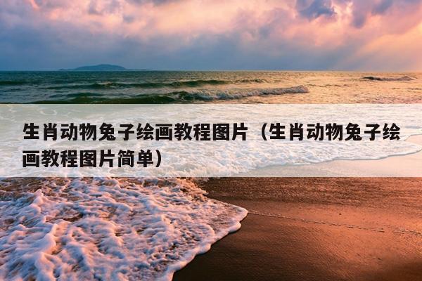 生肖动物兔子绘画教程图片（生肖动物兔子绘画教程图片简单）