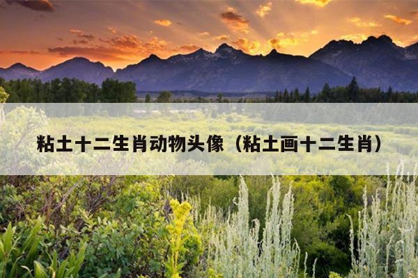 粘土十二生肖动物头像（粘土画十二生肖）
