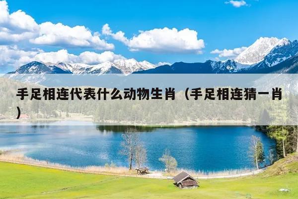 手足相连代表什么动物生肖（手足相连猜一肖）