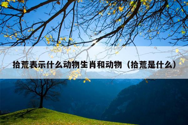 拾荒表示什么动物生肖和动物（拾荒是什么）