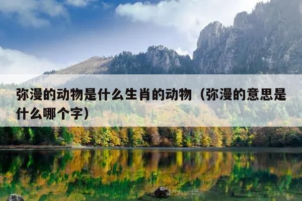 弥漫的动物是什么生肖的动物（弥漫的意思是什么哪个字）