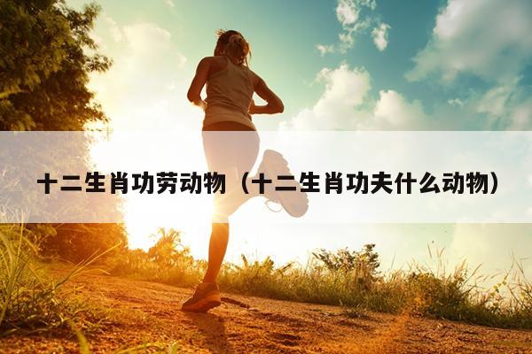 十二生肖功劳动物（十二生肖功夫什么动物）