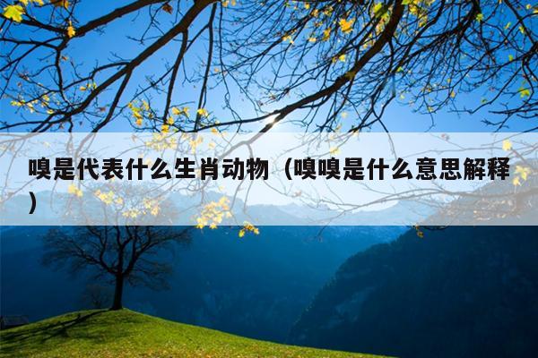 嗅是代表什么生肖动物（嗅嗅是什么意思解释）