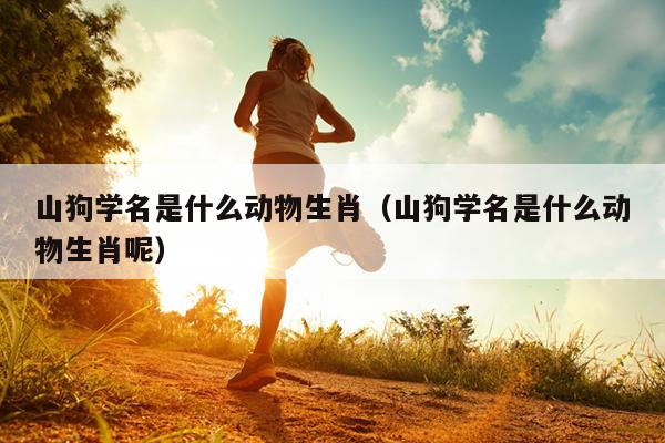 山狗学名是什么动物生肖（山狗学名是什么动物生肖呢）