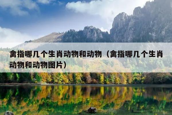 禽指哪几个生肖动物和动物（禽指哪几个生肖动物和动物图片）