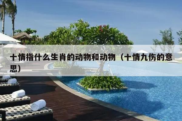 十情指什么生肖的动物和动物（十情九伤的意思）