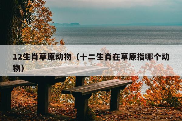 12生肖草原动物（十二生肖在草原指哪个动物）