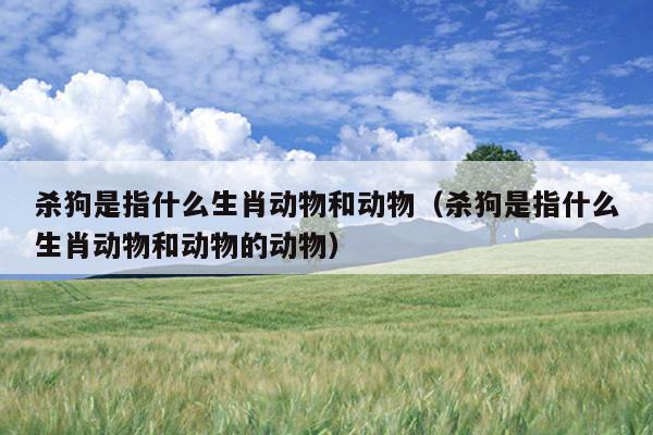杀狗是指什么生肖动物和动物（杀狗是指什么生肖动物和动物的动物）