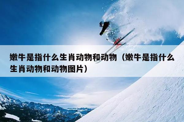 嫩牛是指什么生肖动物和动物（嫩牛是指什么生肖动物和动物图片）