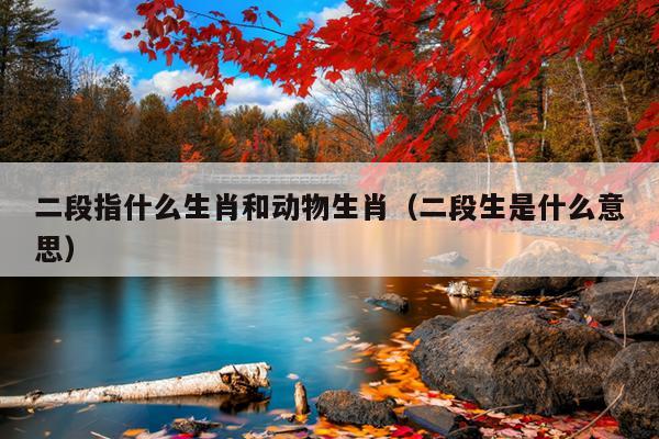 二段指什么生肖和动物生肖（二段生是什么意思）