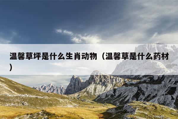 温馨草坪是什么生肖动物（温馨草是什么药材）