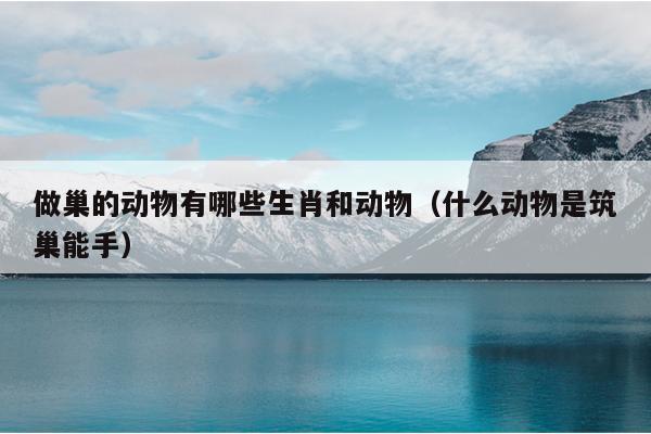 做巢的动物有哪些生肖和动物（什么动物是筑巢能手）