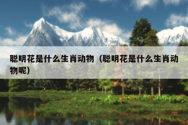 聪明花是什么生肖动物（聪明花是什么生肖动物呢）
