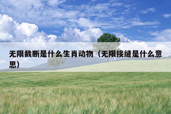 无限截断是什么生肖动物（无限接缝是什么意思）