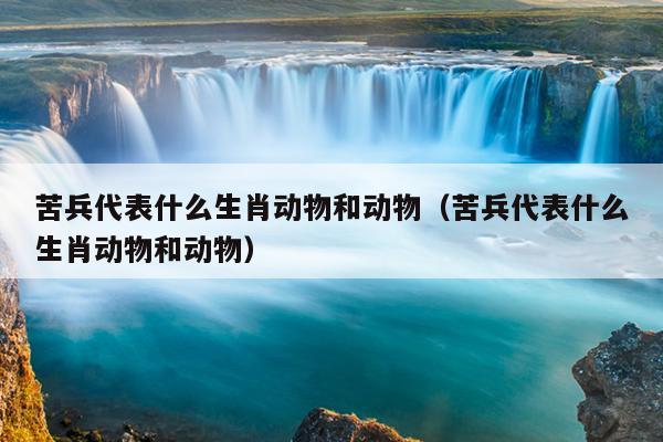 苦兵代表什么生肖动物和动物（苦兵代表什么生肖动物和动物）