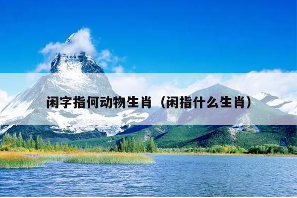 闲字指何动物生肖（闲指什么生肖）