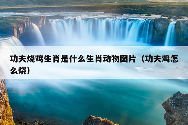 功夫烧鸡生肖是什么生肖动物图片（功夫鸡怎么烧）