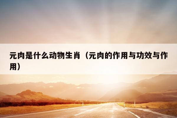元肉是什么动物生肖（元肉的作用与功效与作用）
