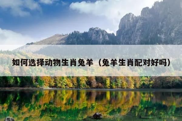如何选择动物生肖兔羊（兔羊生肖配对好吗）