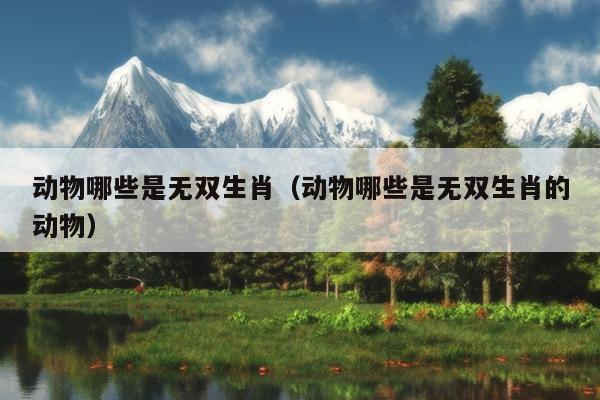 动物哪些是无双生肖（动物哪些是无双生肖的动物）