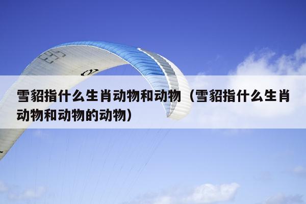 雪貂指什么生肖动物和动物（雪貂指什么生肖动物和动物的动物）