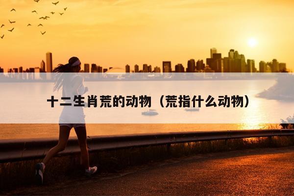 十二生肖荒的动物（荒指什么动物）