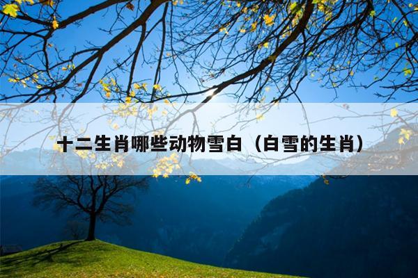 十二生肖哪些动物雪白（白雪的生肖）