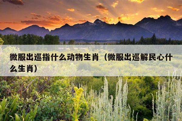 微服出巡指什么动物生肖（微服出巡解民心什么生肖）