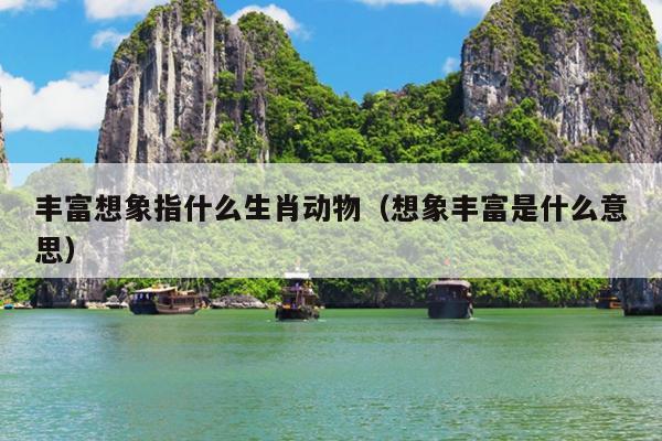 丰富想象指什么生肖动物（想象丰富是什么意思）