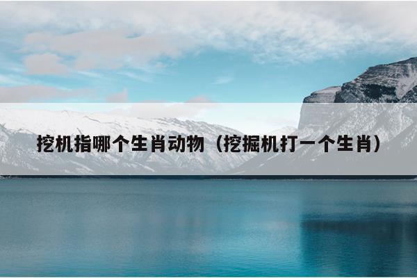 挖机指哪个生肖动物（挖掘机打一个生肖）