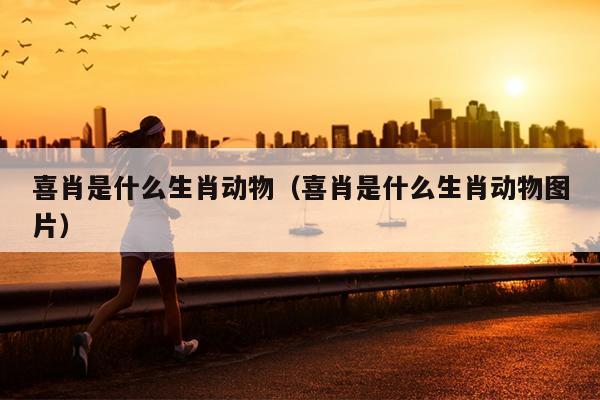 喜肖是什么生肖动物（喜肖是什么生肖动物图片）