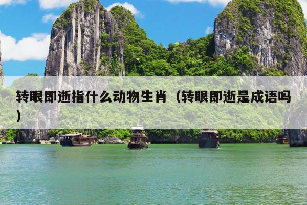 转眼即逝指什么动物生肖（转眼即逝是成语吗）