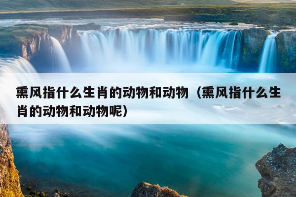 熏风指什么生肖的动物和动物（熏风指什么生肖的动物和动物呢）