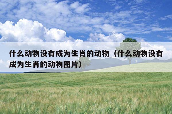 什么动物没有成为生肖的动物（什么动物没有成为生肖的动物图片）