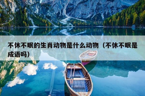 不休不眠的生肖动物是什么动物（不休不眠是成语吗）