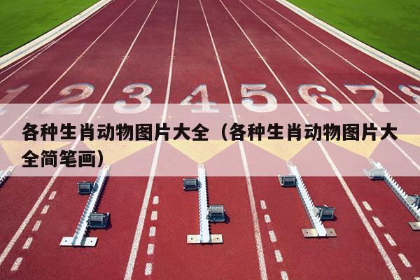 各种生肖动物图片大全（各种生肖动物图片大全简笔画）