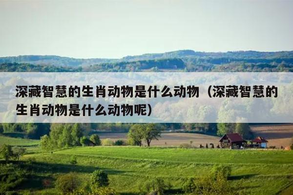 深藏智慧的生肖动物是什么动物（深藏智慧的生肖动物是什么动物呢）
