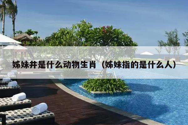 姊妹井是什么动物生肖（姊妹指的是什么人）