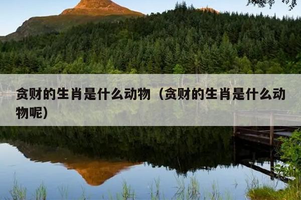 贪财的生肖是什么动物（贪财的生肖是什么动物呢）