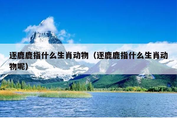 逐鹿鹿指什么生肖动物（逐鹿鹿指什么生肖动物呢）