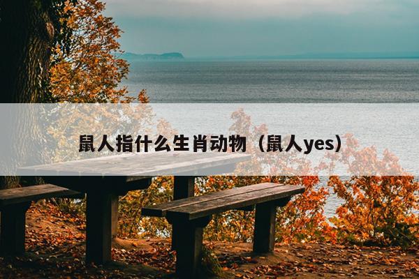 鼠人指什么生肖动物（鼠人yes）