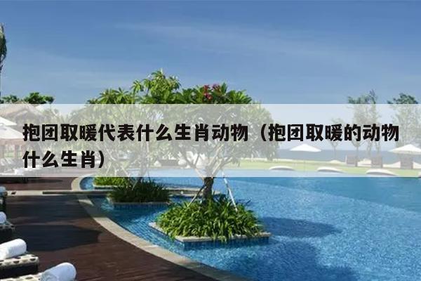 抱团取暖代表什么生肖动物（抱团取暖的动物什么生肖）
