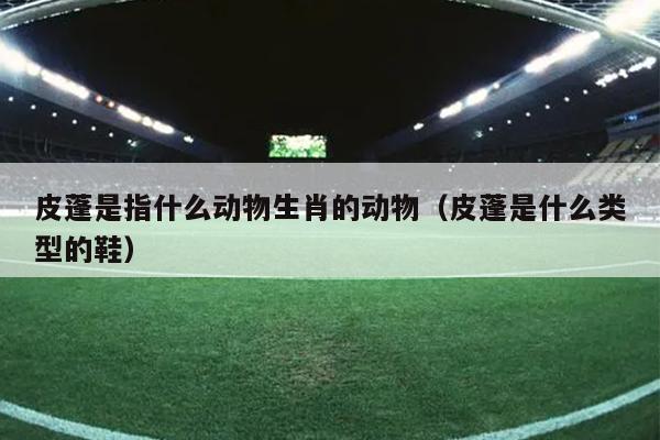 皮蓬是指什么动物生肖的动物（皮蓬是什么类型的鞋）