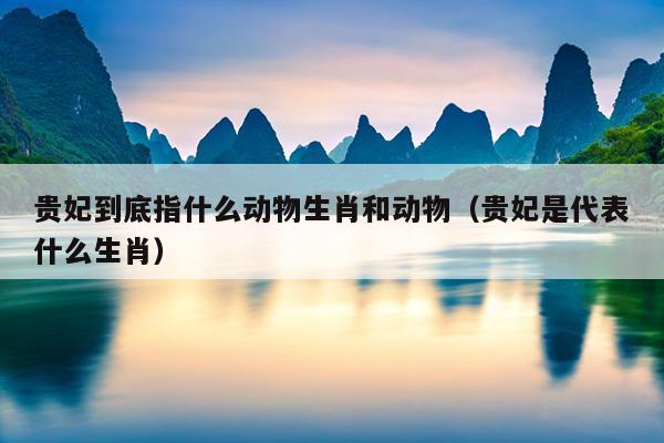 贵妃到底指什么动物生肖和动物（贵妃是代表什么生肖）